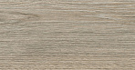 Ironwood Desert Керамогранит бежевый 120,2х19,3_0