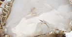 Sirius Gold Керамогранит 60x60 Полированный_9
