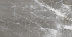 Patara Grigio Керамогранит I Серый 60x60 Полированный_5
