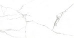 Pristine White Керамогранит белый 60x120 Полированный_6
