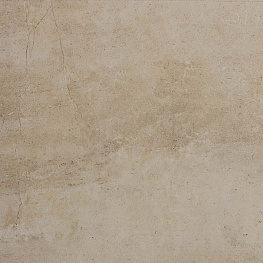 BL 03 60х60 неполир