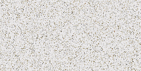 CM00 60x120x10 Непол.Рект.